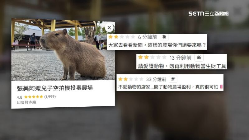 捲空拍機投毒 樹懶餐廳地標遭惡搞毒農場