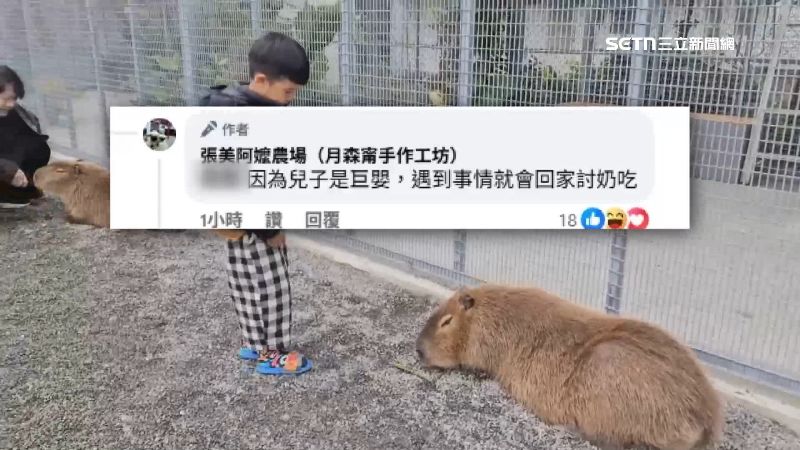 張美阿嬤農場在社群上狠酸兒子