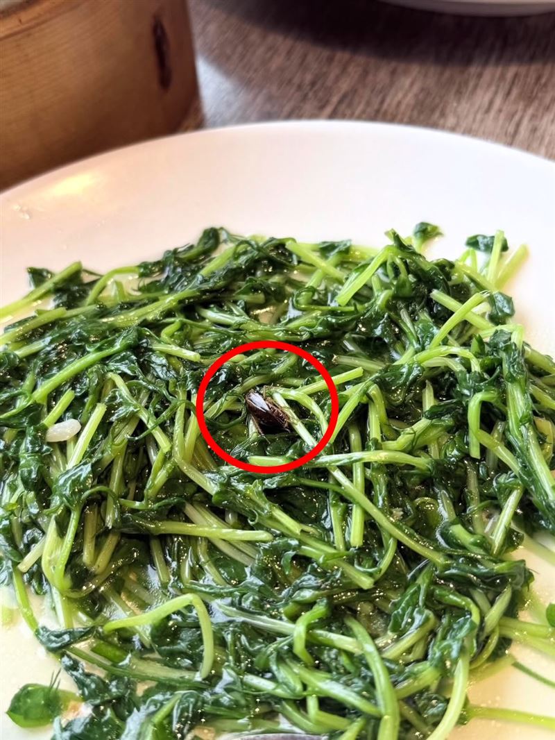 民眾到知名港點用餐，卻發現炒蔬菜有大蟑螂屍，當場乾嘔、衝廁所漱口。(圖／讀者提供）