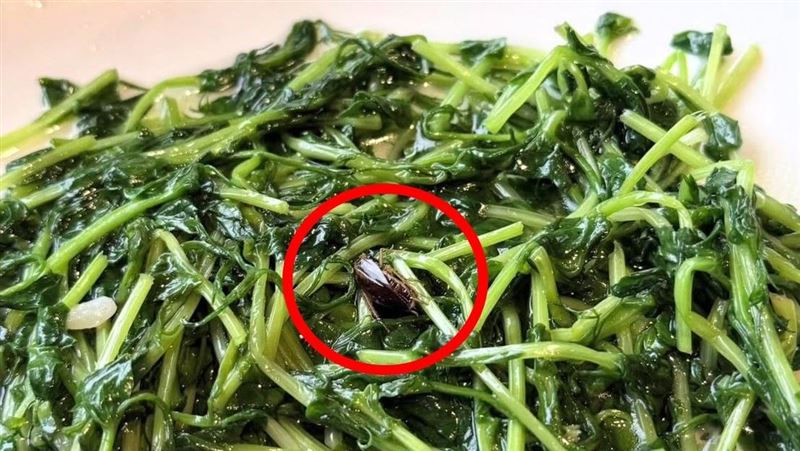 噁!知名港點「吃到大蟑螂屍」業者道歉了