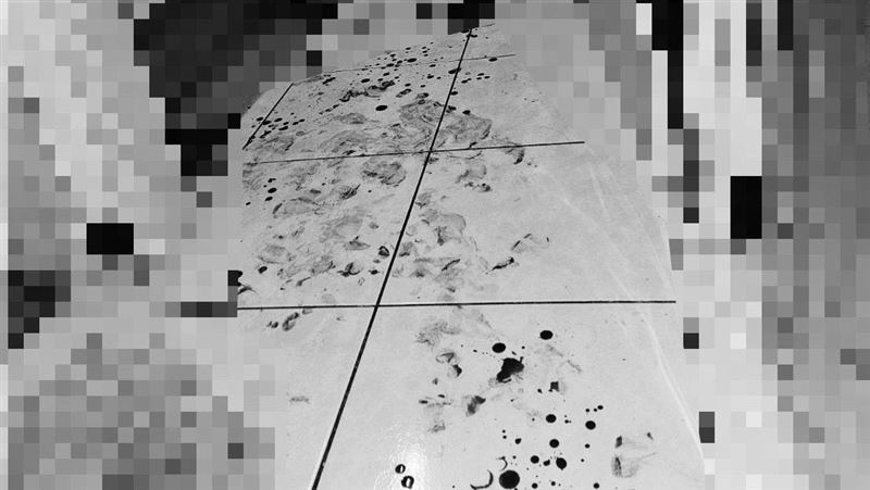 翁拿折合鋸、榔頭追殺妻女!房內血跡斑斑