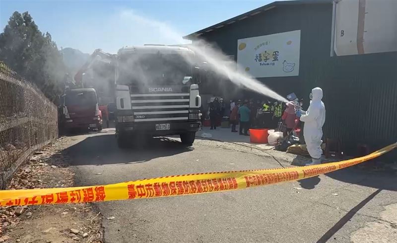 業者聲稱，死亡的1700多隻雞部分埋在自家牧場，部分掩埋在苗栗。(圖／翻攝畫面)