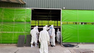 豐康牧場爆發禽流感　5千隻雞今全面撲殺