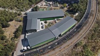 隱匿禽流感！吹哨者：員工大量埋雞屍露餡