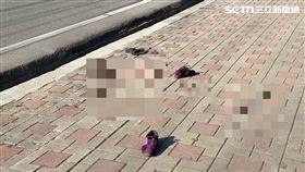 快訊／台中67歲婦公園遇襲　遭「割頸」10CM送醫　疑隨機攻擊警全力追緝（圖／翻攝畫面）