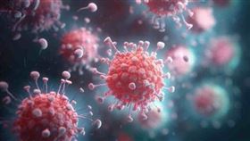 立百病毒 病毒（示意圖／翻攝自Pixabay）