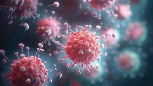 立百病毒致死率75%！醫曝3重點看完不用慌