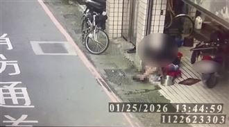 獨／新店男當街斬首果子狸　動保處說話了