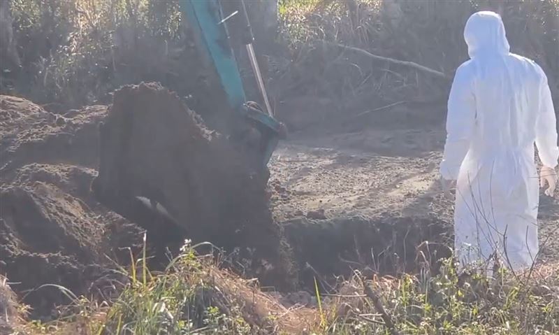 苗栗嚴姓地主與豐康雞場業者是朋友，起初拒絕配合農業局進入開挖雞屍。(圖／翻攝畫面)