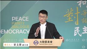 陸委會副主委梁文傑。（圖／翻攝畫面）