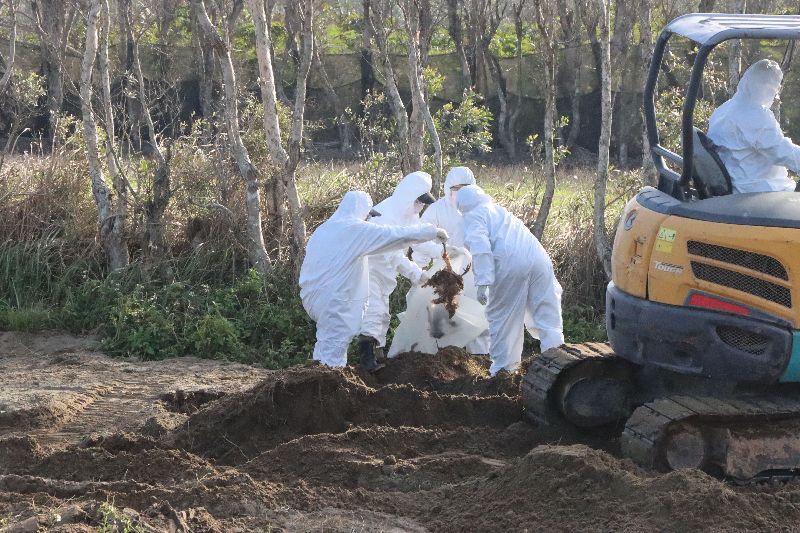 苗栗縣政府農業處、動防所29日下午會同警方前往該農地開挖確認。（圖／中央社）