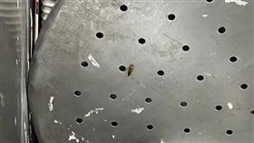 北市衛生局今日至「京星港式飲茶」稽查，發現點心置放機器區有蟑螂出沒等衛生缺失。（圖／北市衛生局提供)