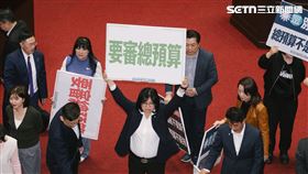 立法院第四會期最後一天院會，民進黨團所提議程遭48:60封殺，綠委在議場舉牌「要審總預算」。（圖／記者楊士誼攝影）