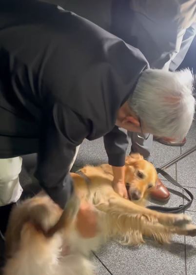 黃仁勳巧遇一名主人帶著黃金獵犬外出散步，喜愛狗狗的他立刻加快腳步上前「嚕狗」，不僅把狗狗摸到翻肚，還熱情地讓狗狗舔臉。（圖／翻攝自Threads＠hot2506）