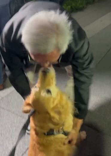 狗狗興奮地輕咬黃仁勳的手指，並不斷舔他的臉，而黃仁勳全程毫不閃躲，顯見他對狗狗的喜愛。（圖／翻攝自Threads＠hot2506）