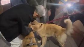 黃仁勳、黃金獵犬（圖／翻攝自Threads＠hot2506）