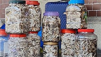 200名學生「環島撿菸蒂」！7天狂掃14大桶