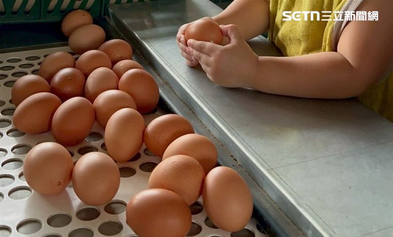 一名消費者帶著小孩參觀蛋雞場後預付購蛋，發生疫情業者竟持續出貨讓她無法接受。（圖／讀者提供）