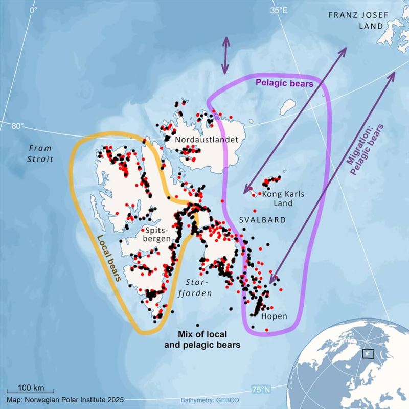斯瓦巴北極熊分布情形。（圖取自Nature網頁nature.com）