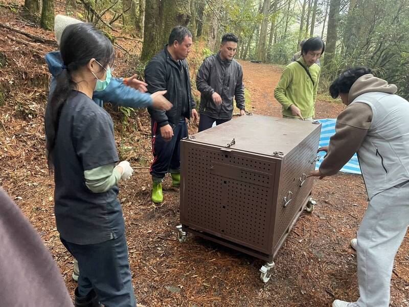 林業保育署嘉義分署與生多所等團隊商討黑熊野放地點。（圖／嘉義林業分署提供）