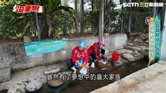 女路敘事翻轉傳統　劇場共學實踐性平