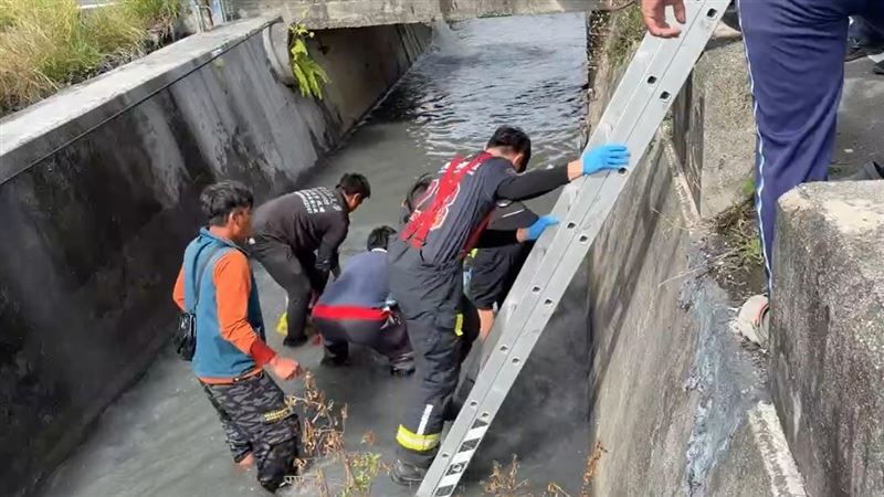 張男騎機車與貨車發生碰撞，噴飛墜落旁邊的大排水溝，當場失去生命跡象，送醫搶救不治。（圖／翻攝畫面）