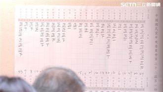 45搶29！藍中常委當選名單曝　她奪下第一