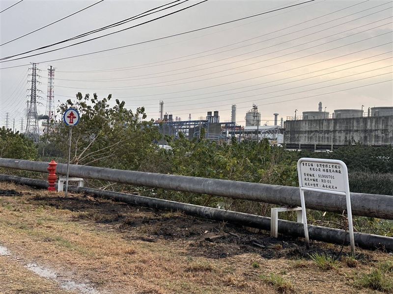 高雄22歲周姓男子今（31日）下午要捕捉綠鬣蜥時，誤觸高壓電。（圖／翻攝畫面）