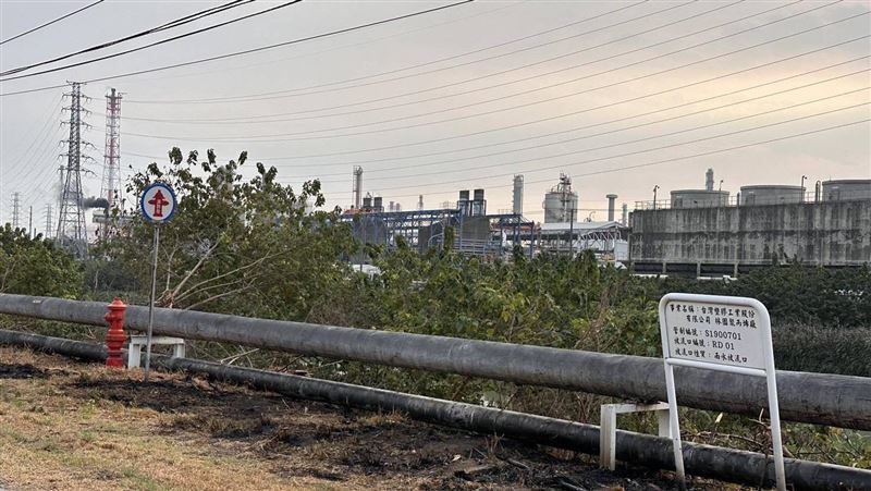 新/高雄男「抓綠鬣蜥」觸高壓電 搶救中