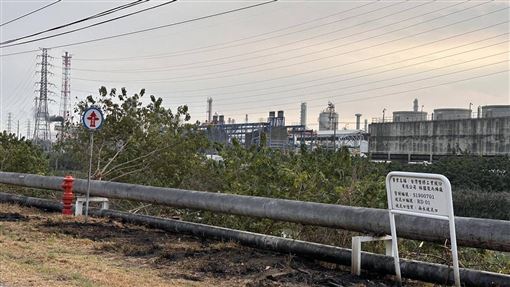 新／高雄男「抓綠鬣蜥」觸高壓電　搶救中