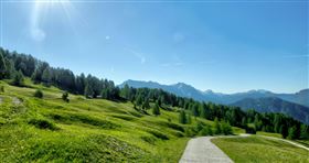 （示意圖／Pexels）