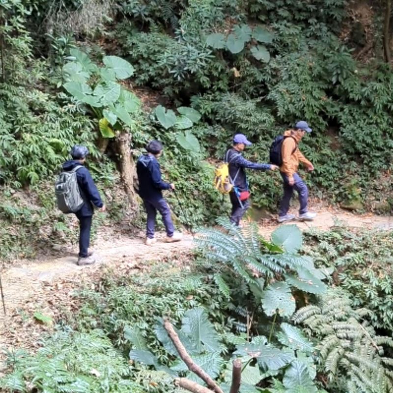 前總統蔡英文今（1）日在臉書發文指出，她二訪在她任內推動「浪漫台三線」的「樟之細路」。（圖／翻攝蔡英文臉書）