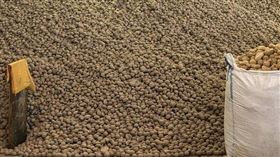 德國馬鈴薯大豐收，農民因此發起贈送活動。（圖／翻攝自Märkisches Viertel臉書）