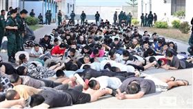 許多園區內的嫌犯，被要求趴在地上。（圖／翻攝自柬中時報）

