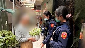 骨灰盆栽,愛犬,失竊,老翁