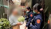 骨灰盆栽不見…竟然是80歲阿公偷走的
