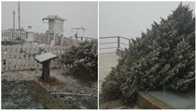 新／玉山下雪了！片片雪花降落如畫。（圖／翻攝畫面）