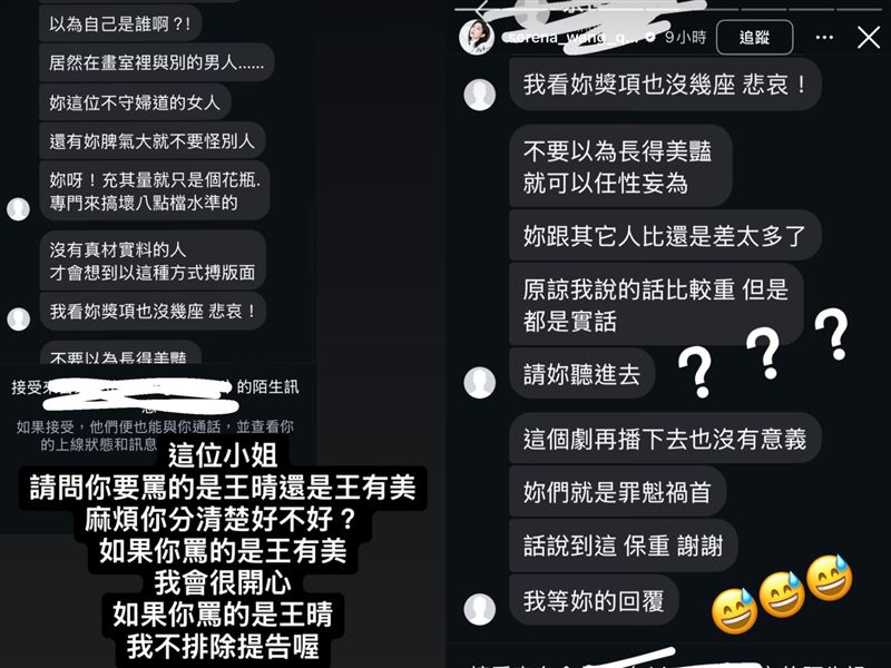 王晴收到網友私訊開罵。（圖／翻攝自王晴IG）