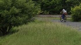 台中都會公園（圖／翻攝台中觀旅局官網） 