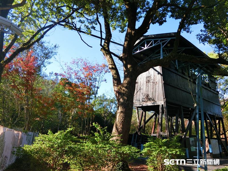 走進東勢林業文化園區，彷彿翻開台灣林業的輝煌史。從全台首座美式製材廠的工業殘跡，到充滿日式氛圍的「寬茶1號院」，這裡成功將「殘跡保存」與「森林活化」結合。遊客能在充滿歷史底蘊的場域中，感受木頭的溫度與自然生態的療癒力量，堪稱台中最具深度的隱藏版世外桃源。（圖／翻攝自東勢林業文化園區臉書）