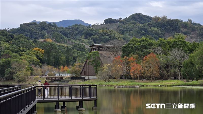 絕美東勢林業園區　揭東亞最大製材廠變身