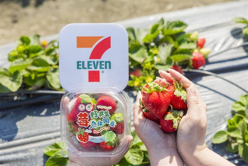 7-ELEVEN限定販售「新鮮美姬草莓」。（圖／品牌業者提供）