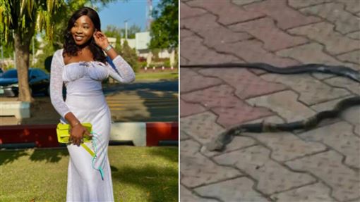 首場演唱會在即！26歲新秀夢中遭蛇吻暴斃