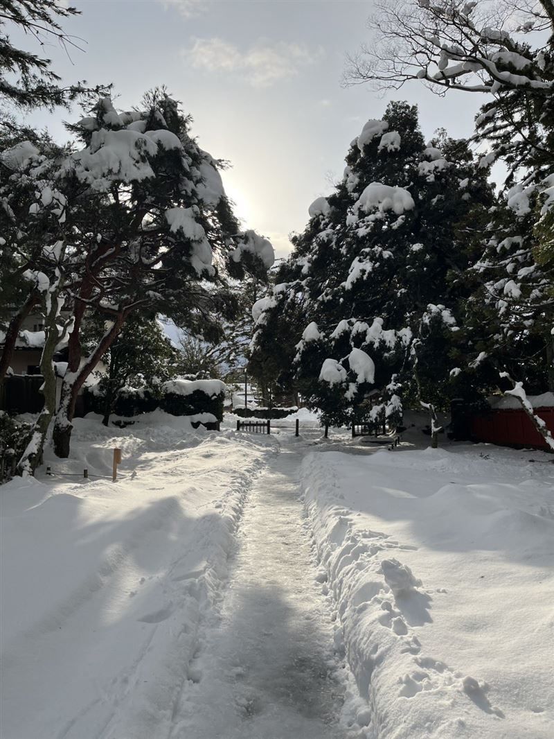 知名觀光地金澤市累積雪量已超越往年同期平均的九倍，圖為金澤神社。（圖／翻攝自X平台 @kanazawa_shrine）