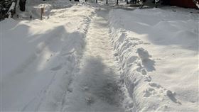 知名觀光地金澤市累積雪量已超越往年同期平均的九倍，圖為金澤神社。（圖／翻攝自X平台 @kanazawa_shrine）