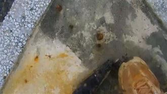 掰歪「鏡頭君」痛斥破壞者…公布嫌1特徵