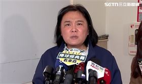 陳玉珍批評，側翼名嘴不要一直說國民黨好壞心要讓台美關稅談判不成（圖／翻攝畫面）