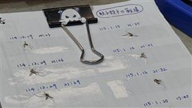 一名女網友分享冬天的「殺蚊筆記本」。（圖／Threads　@joanne___1313授權提供）