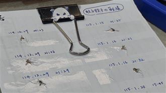 冬天有蚊子煩炸　她震撼秀「殺蚊筆記本」