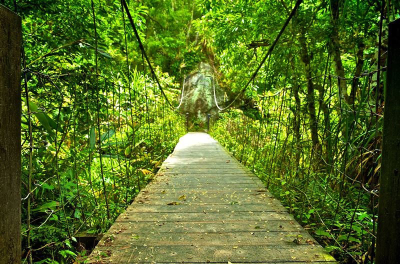 太魯閣晶英酒店鄰近綠水文山步道，乘車或散步前往皆可。（圖／飯店旅宿業者提供）